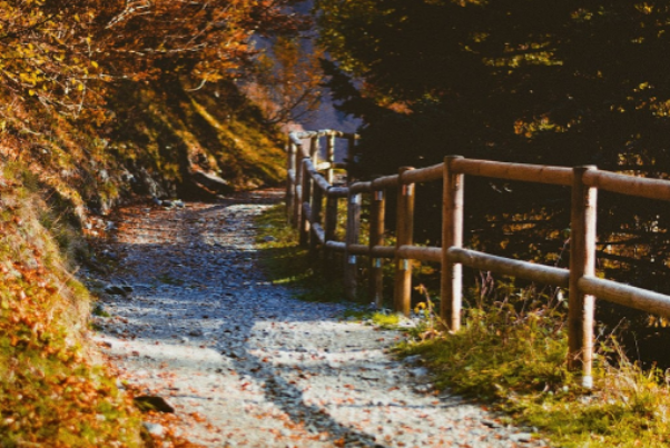 os caminhos da inteligência emocional